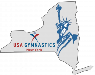 Logo NYS